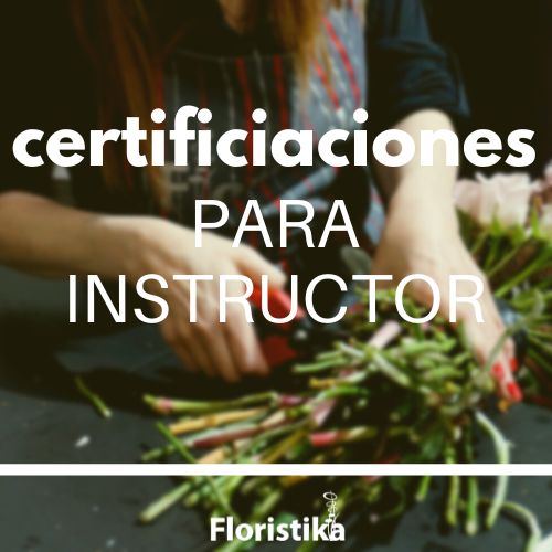 CERTIFICACIONES