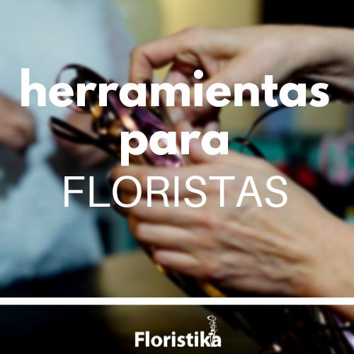 HERRAMIENTAS