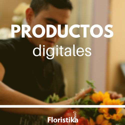 PRODUCTOS DIGITALES