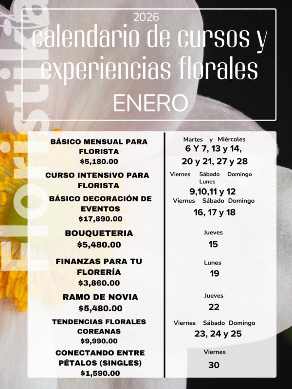 Cartel A3 Calendario Mensual Enero Minimalista Rosa