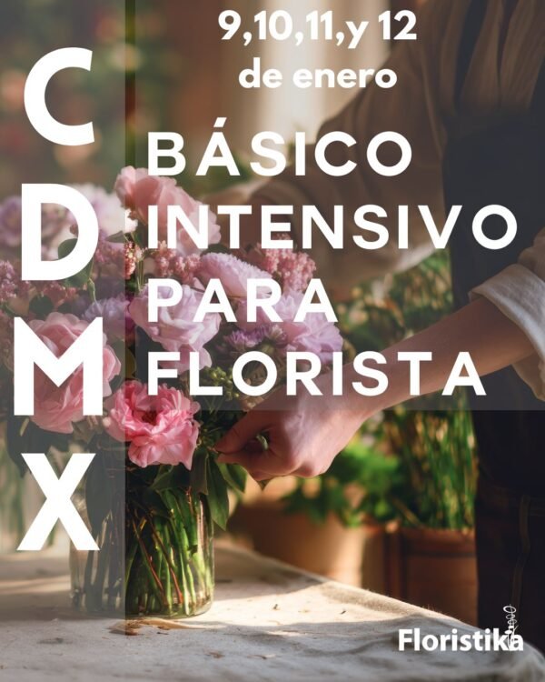 Post vertical para instagram promocion navideña blanco (2) (3)