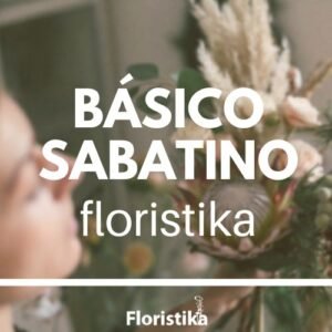 Básico Floristika para florista, Sabatino