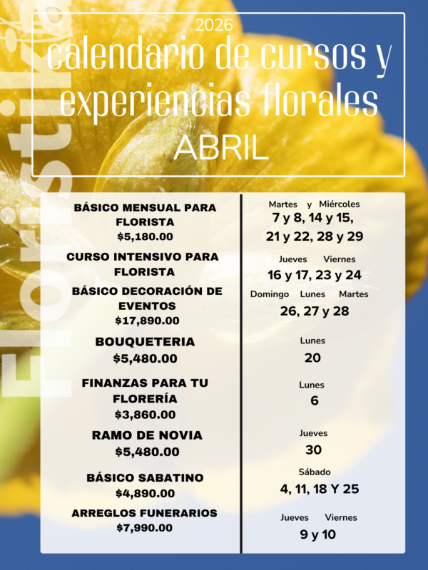 Cartel A3 Calendario Mensual Enero Minimalista Rosa (2)