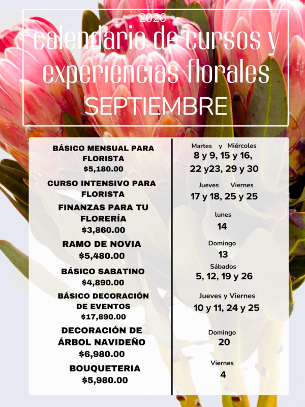 Cartel A3 Calendario Mensual Enero Minimalista Rosa (1) (1)