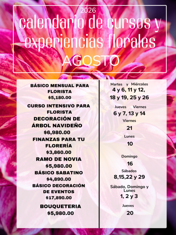 Cartel A3 Calendario Mensual Enero Minimalista Rosa (3)