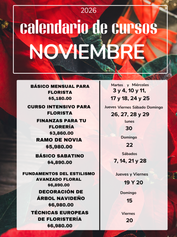 Cartel A3 Calendario Mensual Enero Minimalista Rosa (4)
