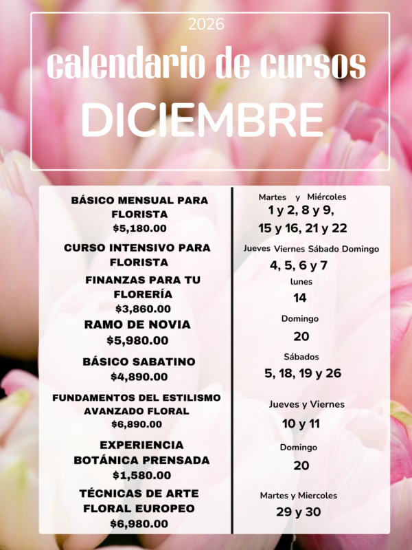 Cartel A3 Calendario Mensual Enero Minimalista Rosa (2) (1)